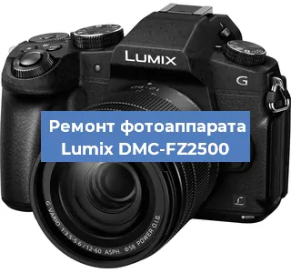Чистка матрицы на фотоаппарате Lumix DMC-FZ2500 в Воронеже